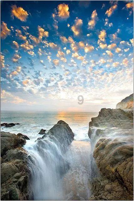 请问我国几大名茶叶各自的特点游戏画面