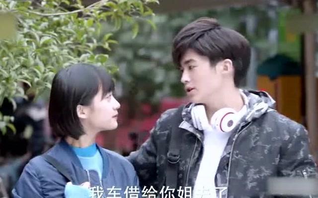 破碎的动物图形3